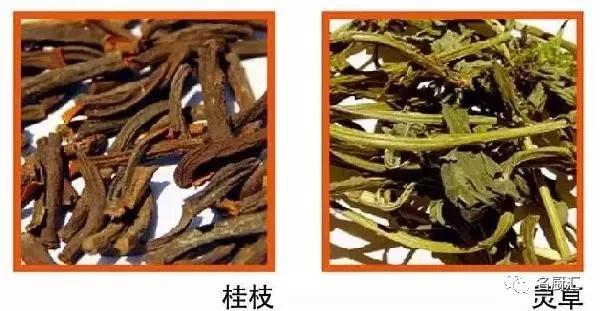 国有六大行掀起学习热潮，深入践行中央八项规定精神新风尚